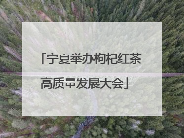 宁夏举办枸杞红茶高质量发展大会